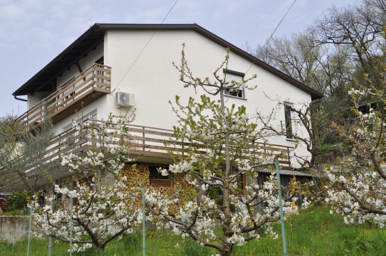 Apartma Bajci Айдовшчіна Екстер'єр фото